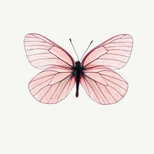 Meet your Posher, Susana